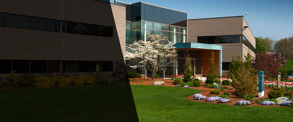 Nicollet Landscapers