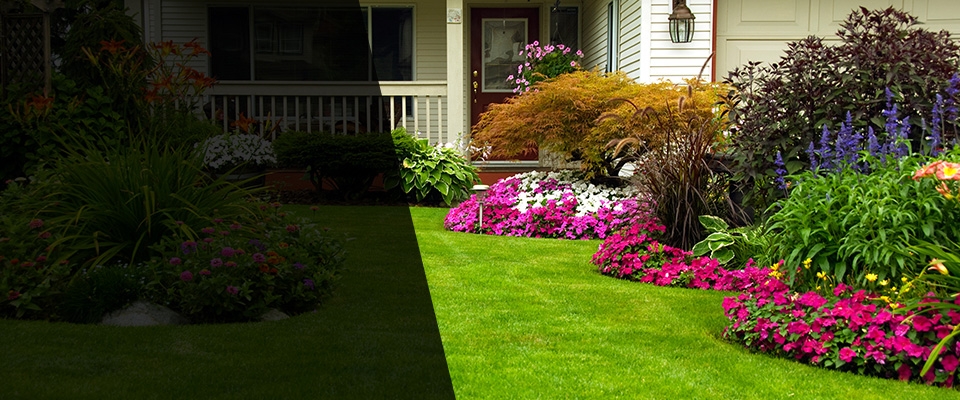 Nicollet Landscapers