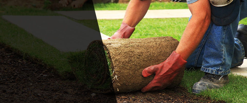 Nicollet Landscapers